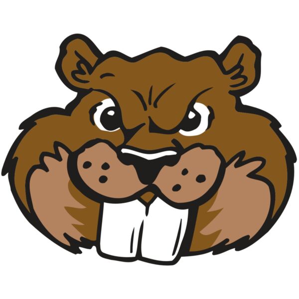 AR BEAVER 10 RC Thumbnail